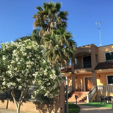 Le Palme *