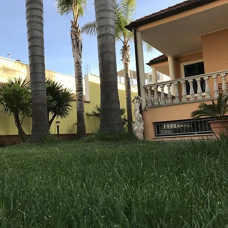 Le Palme