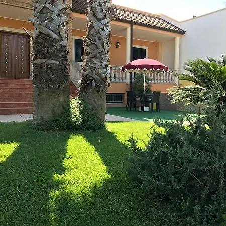Le Palme *